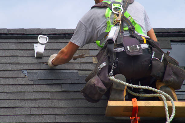 Best Gutter Installation and Roofing  in Hampton, AR