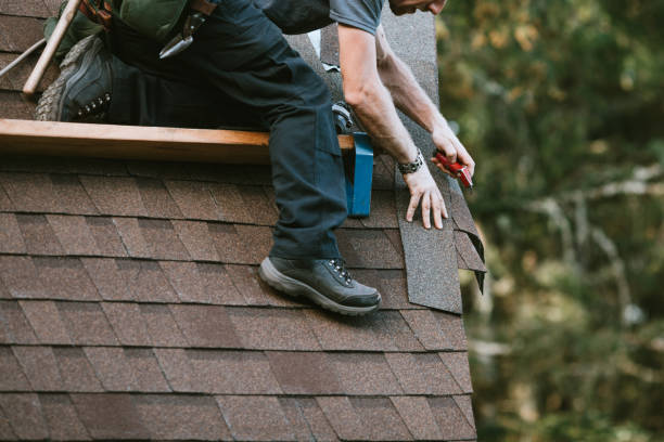 Best Residential Roofing Contractor  in Hampton, AR